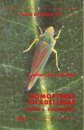 Faune de France, Volume 73: Homoptères: Cicadellidae, Volume 3: Complements
