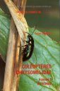Faune de France, Volume 80: Coléoptères Chrysomelidae, Part 2 - Alticinae
