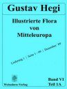Illustrierte Flora von Mitteleuropa, Band 6, Teil 1A, Lieferung 1
