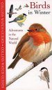 Collins Watch Guides: Birds in Winter