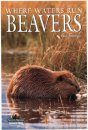 Beavers: Where Waters Run