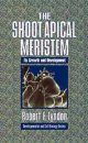 The Shoot Apical Meristem