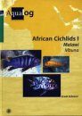African Cichlids 1: Malawi