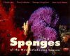 Sponges of the New Caledonian Lagoon