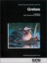 Grebes: Status Survey and Conservation Action Plan