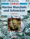 Lexikon Marine Muscheln und Schnecken