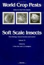 Soft Scale Insects: Their Biology, Natural Enemies and Control, Part 1: Morphology, Systematics and Phylogeny