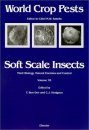 Soft Scale Insects: Their Biology, Natural Enemies and Control, Parts 2 and 3