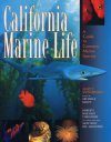 California Marine Life