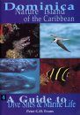 A Guide to Dive Sites and Marine Life [of Dominica]