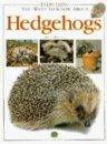 Everything You Want to Know About Hedgehogs