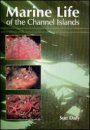 Marine Life of the Channel Islands