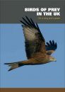 Birds of Prey in the UK: On a Wing and a Prayer