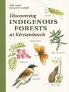 Discovering Indigenous Forests at Kirstenbosch
