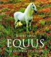 Equus: The Creation of a Horse