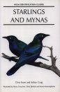 Starlings and Mynas