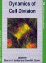 Dynamics of Cell Division