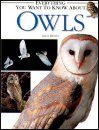 Everything You Want to Know About Owls