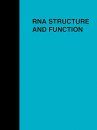 RNA Structure and Function