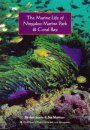 The Marine Life of Ningaloo Marine Park and Coral Bay