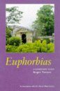 Euphorbias: A Gardener's Guide