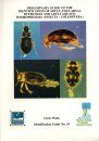 Preliminary Guide to the Identification of Adult and Larval Dytiscidae and Adult Aquatic Hydrophilidae (Insecta: Coleoptera)