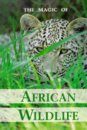 Magic of African Wildlife