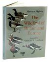 The Wildfowl of Britain and Europe
