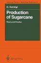 Production of Sugarcane