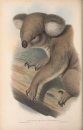 Mammals of Australia, Volume 1