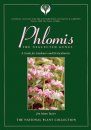 Phlomis: The Neglected Genus