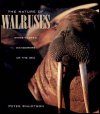 The Nature of Walruses