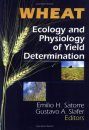 Wheat: Ecology and Physiology of Yield Determination
