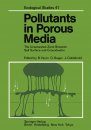 Pollutants in Porous Media