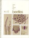 How to Know Beetles