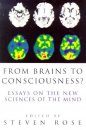From Brains to Consciousness?