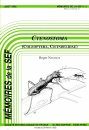 Ctenostoma (Coleoptera, Cicindelidae): Révision du Genre et Descriptions de Nouveaux Taxons [Ctenostoma: Revision of the Genus and Descriptions of New Taxa]