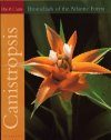 Bromeliads of the Atlantic Forests: Canistropsis