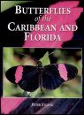 Butterflies of the Caribbean and Florida