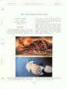 Indo-Pacific Mollusca: Volume 3, No 16