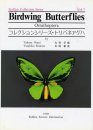 Birdwing Butterflies (Ornithoptera) [English / Japanese]