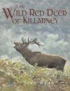 The Wild Red Deer of Killarney