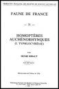 Faune de France, Volume 31: Homoptères: Auchénorhynques, Part 1 (Typhlocybidae)