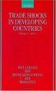 Trade Shocks in Developing Countries, Volume 1: Africa