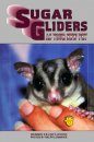 Sugar Gliders as Your New Pet