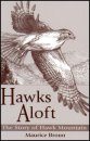 Hawks Aloft