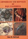 Amphibians and Reptiles of Baja California