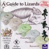 A Guide to Lizards: CD-ROM