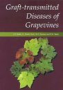 Grapevine Management: Controlling Graft-Transmitted Diseases