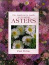 Gardener's Guide to Growing Asters